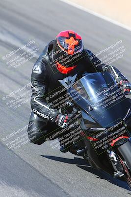 media/Jan-14-2024-SoCal Trackdays (Sun) [[2e55ec21a6]]/Turn 12 Inside (945am)/